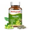 Baidyanath Ayurved Amlaki (Amla) | Aiuta a Costruire l'Immunità | Antibatterico e Antinfiammatorio | 60 Compresse