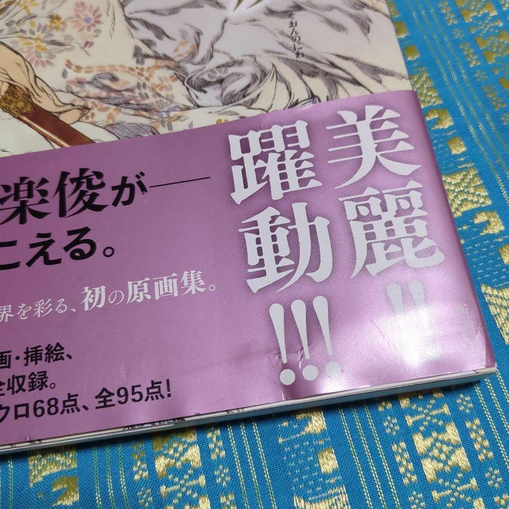 [USED] Unread Item: Twelve Kingdoms: Garden of Eternity by Akihiro Yamada, Artbook by Akihiro Yamada, Original Artbook by Akihiro Yamada