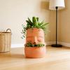 Striking Red Clay Face Formed Flower Holder Designed For Superior Root Ventilation
