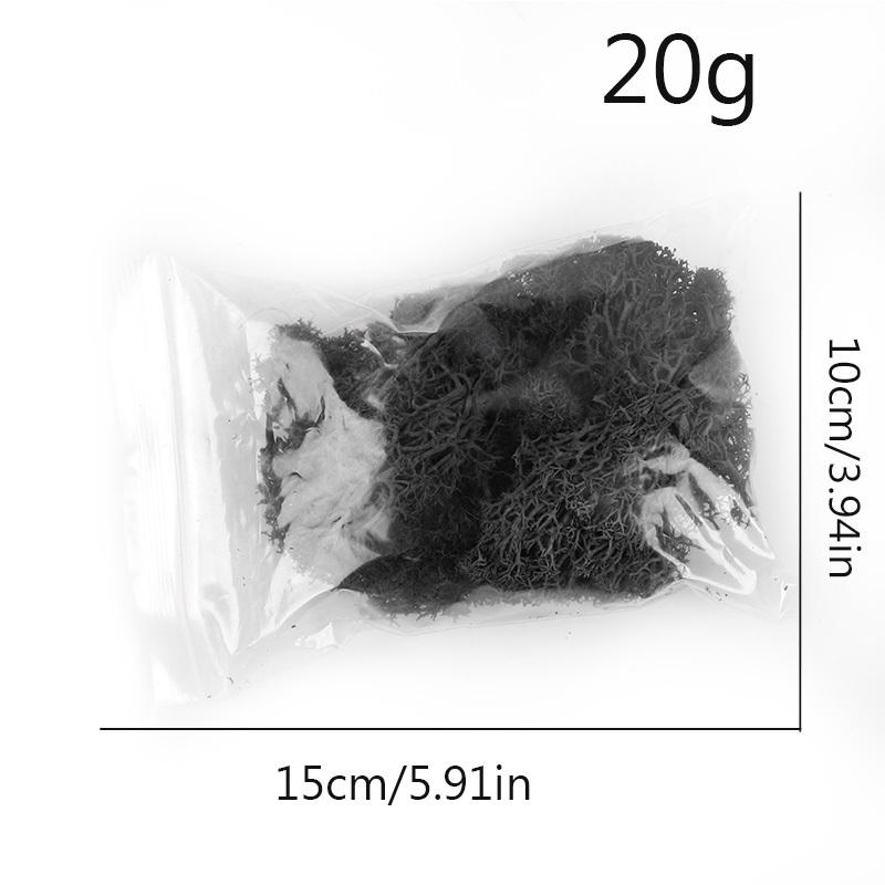 20g Artificial Preserved Moss Eternal Life Green Grass for DIY Crafts Mini Landscape Living Room Home Garden Decoration Supplies