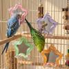 Colorful Beads Star Rotating Parrot Mirror Toy Mirror Parrot Interactive Toy  Bird Supplies