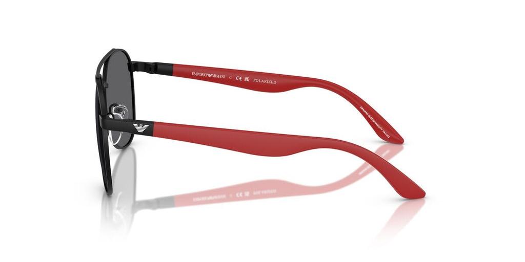 Emporio Armani Sunglasses 0EK2001 Matte Black 53