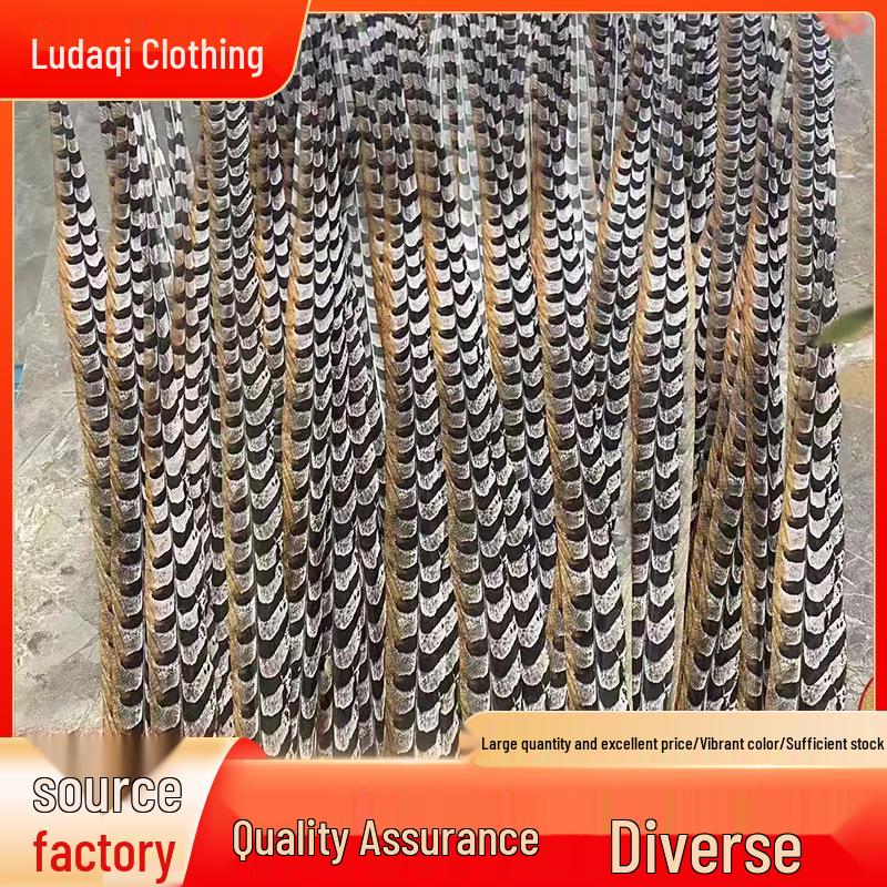 Yingge Peking Opera Headdress with Sun Wukong Pheasant Feathers