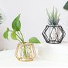 Ornament Plants Frame Terrarium Metal Holder Iron Geometric Pattern Glass Planter Hydroponic Vase