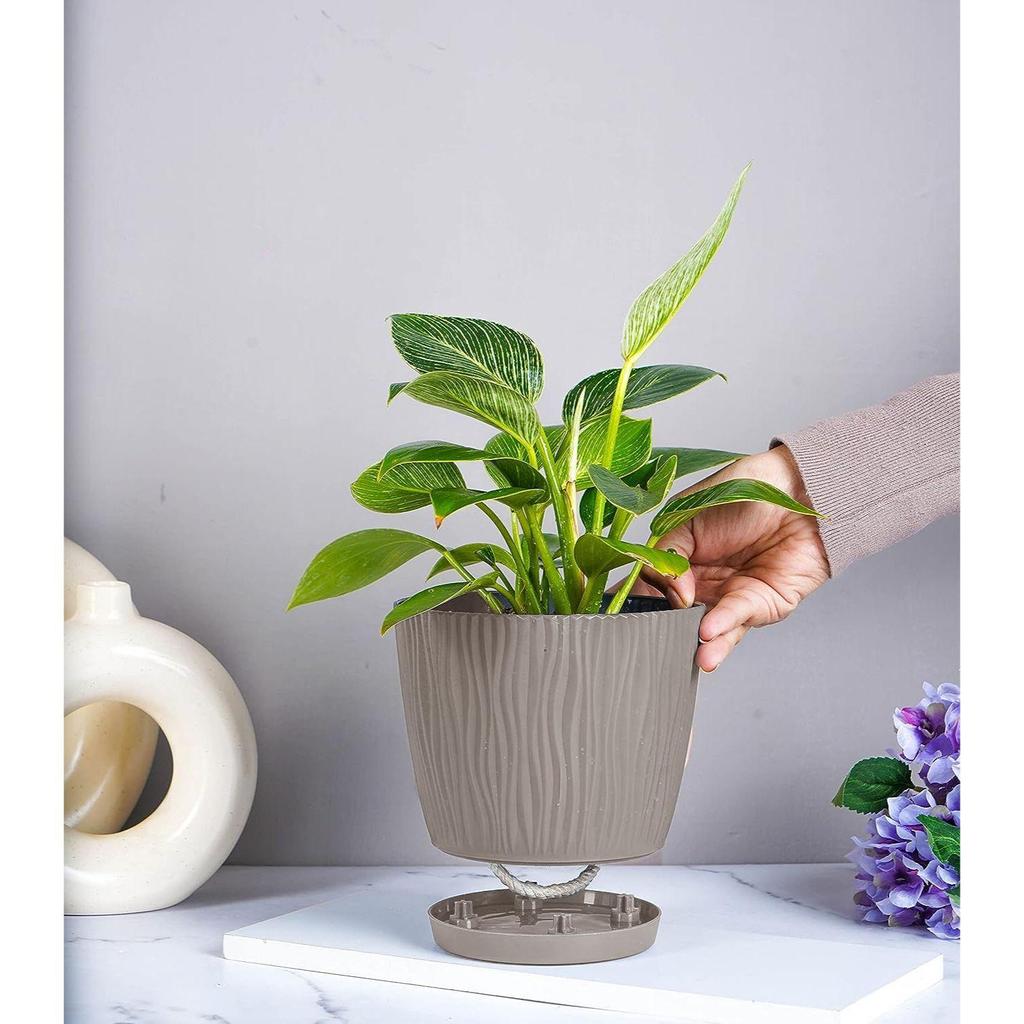 Combo of 8 Self Watering Flower Pots for Living Room & Home Decor | Plastic Plant Pots for Indoor, Balcony & Garden