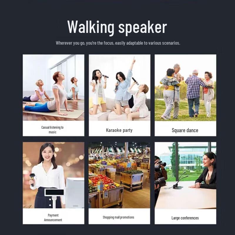 SANSUI T65 Home KTV Bluetooth Speaker with Dual Microphones CN plug (adapter included)