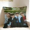 Hot Kdrama Weak Hero Class Pillow Case  Funny Pillow Cover Soft Pillowcases For Couch Sofa Bedroom