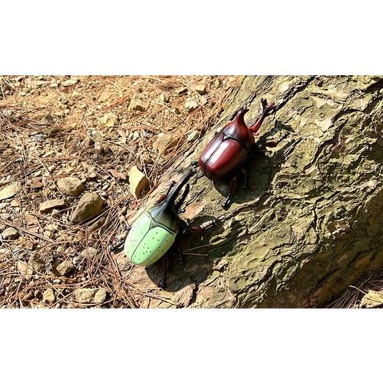 Insect King Stadium Battle Game Set, Popular Toys In Korea