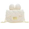 Children's Small, Fresh and Sweet Butterfly Knot Decorated Cross-body Bag with Chain Strap Girl's Bag