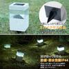 Gardenmaster Clarte Stone LED Solar Light with Automatic No Electricity Stylish for Outdoor Christmas Switch, Waterproof, Required, Gardens,