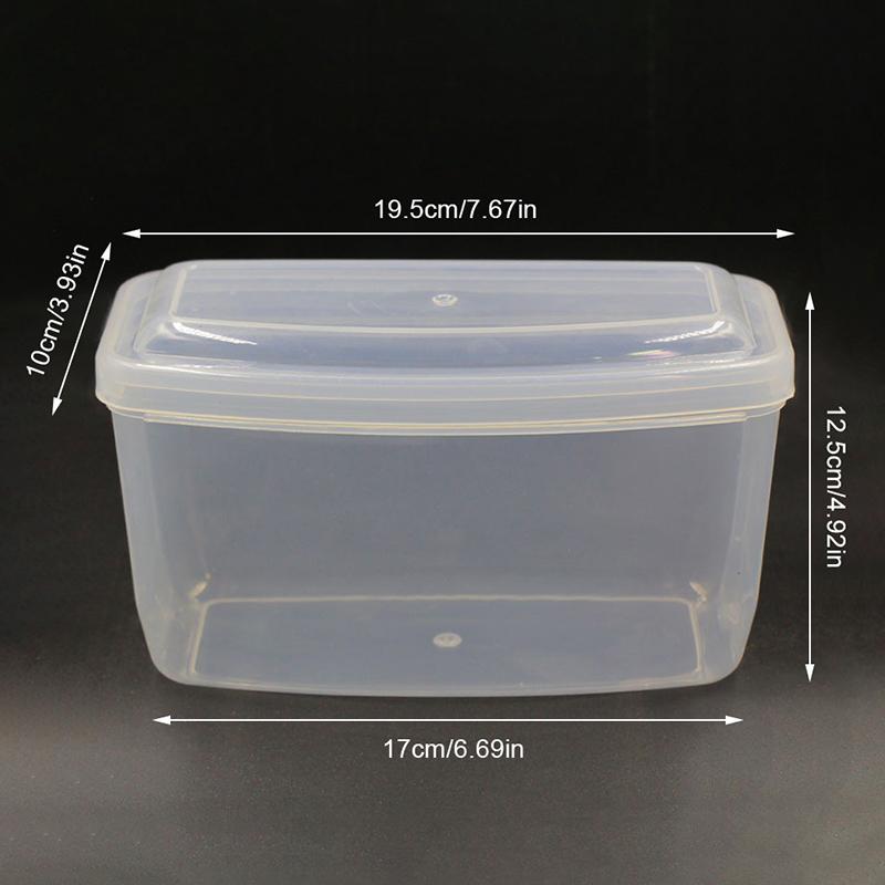 Hartplastik Scuba Dive Tauchen Maske Aufbewahrungsbox Fall Schnorcheln Brille Schwimmen Gläser Schutz Container Transparent