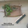 Garden Plant Cultivation Tray and Pad Set for Potted Plant Arrangement