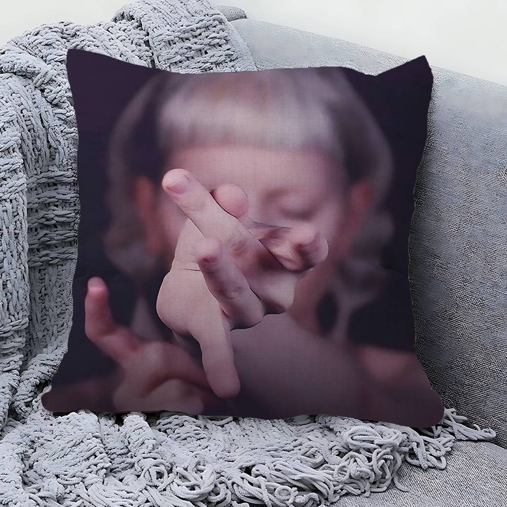 

Singer A-Aurora A-Aksnes Pillow Cover For Bedroom Room And Living Room Sofa Decorative Cushion Cover 12x12Inch