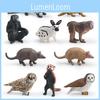 Tierfiguren inspiriert von der Natur: Kaninchen, Gürteltier, Makake und Panda. Statische PVC-Figuren für die Klassenzimmerdekoration von Kindern
