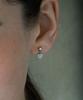 Pearly More Small Heart Star Earrings_Pm24E002Ss