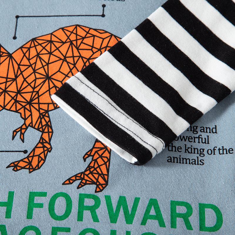 Autumn Kids' Cartoon Dinosaur Long-Sleeve Color Block T-shirt for Boys