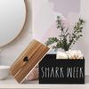 Tampon Holder for Bathroom,Farmhouse Bathroom Organizer,Rustic Wood Bathroom Storage Bin with Lid,Wood Movable Partition Feminine Product Organizer