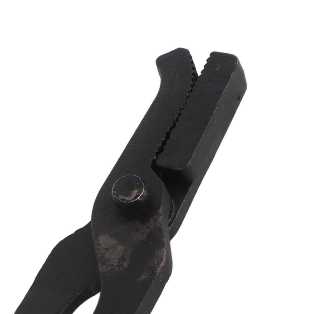 6 Piece Set Professional Horse Farrier Hoof Trim Tool Nail Horseshoe Plier Trimming Tool
