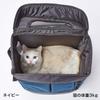 ADD. MATE Liscio CAT Backpack Carry, Gray, for Disaster Preparedness and Travel