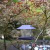 Leak-Proof Automatic Hummingbird Feeder Large Capacity Bird Feeding Station  Bird Supplies