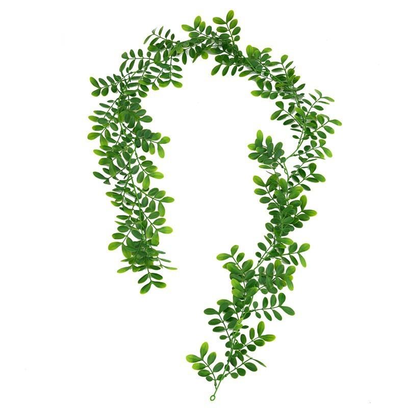

Common Plastic Plant Bowringia Wall Hanging For Wedding Home Decor Interior