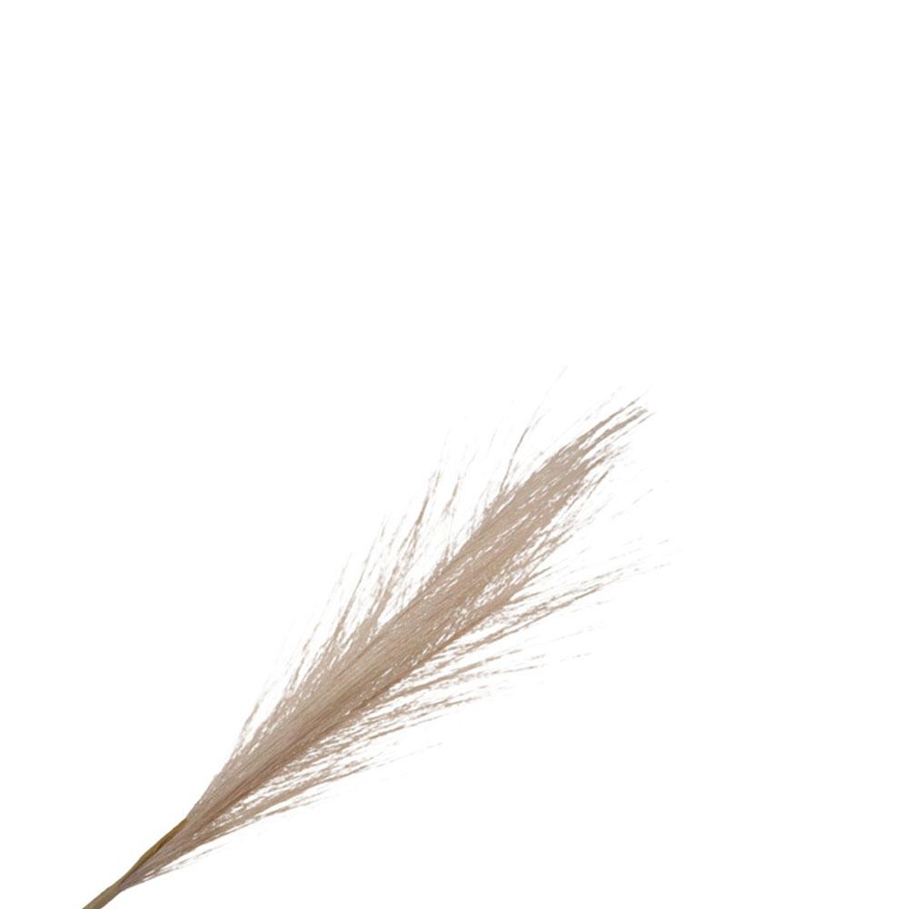 Home Decoration Plante Wedding Decor Artificial Reed Pampas Grass Fake Flowers Artificial Flower