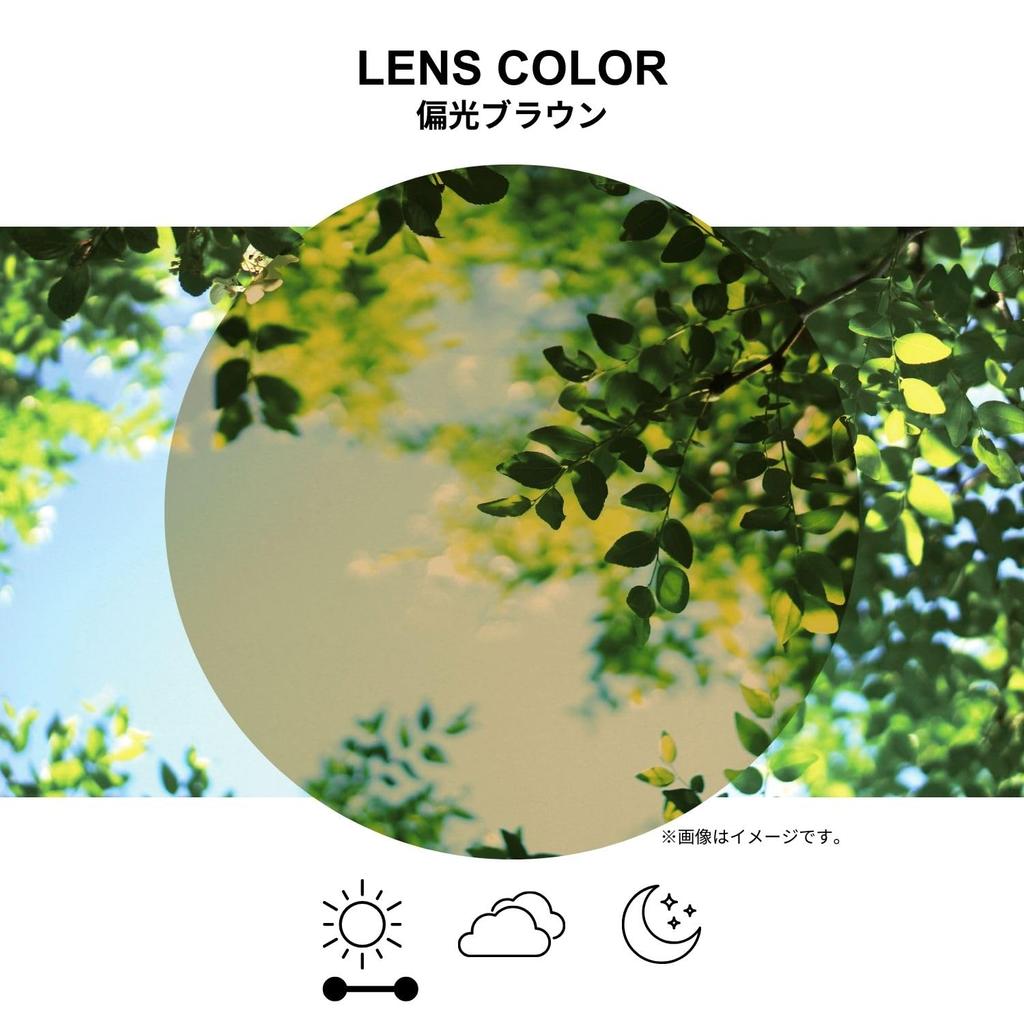 SWANS polarized BR BR polarized Free Size (Swans) Japanese-made sunglasses, clip-on type, flip-up style, SCP-22 brown,