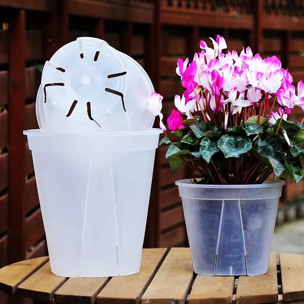 12 Pieces Yen In 3 Clear Plastic Plant Pots with Bottom Plates (365 Each) (Available Sizes) (Medium)