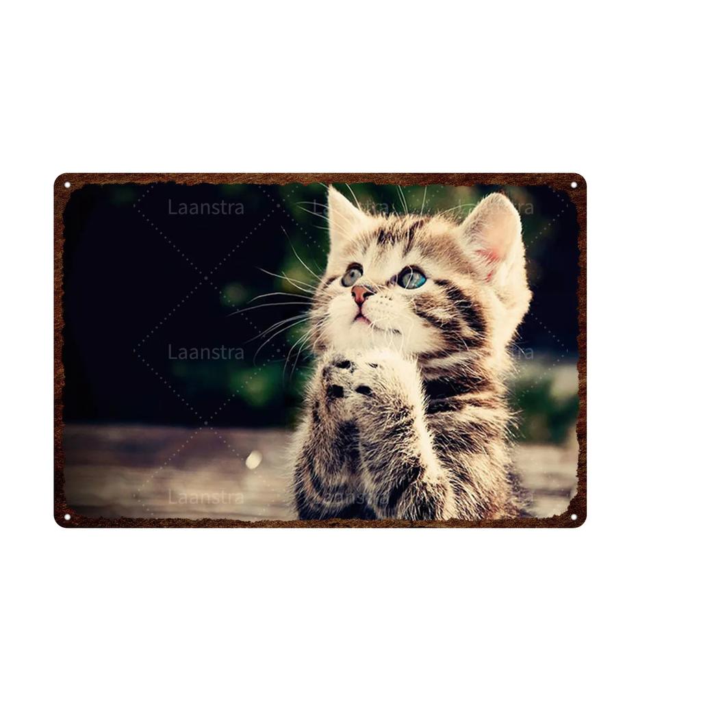 Retro Iron Painting Metal Plaque Attention Animals Dog and Cat Wall Decor Art Poster Tin Signs Bar Home Decoration Painting