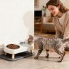 Elevated Cat Bowls Stainless Steel Water Dish Puppy Feeding Bowl for Pet Indoor Outdoor Home Office Apartment Garden Park