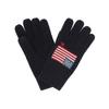 Polo Ralph Lauren Flag Touch Screen Gloves Pc1443 443