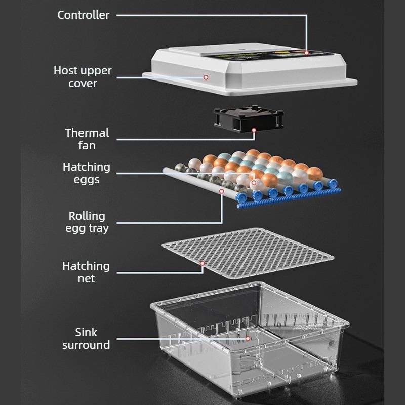 Mini Fully Automatic Poultry Egg Incubator with Auto Egg Turning Household Brooder for Hatching Chicken Duck Goose Bird Eggs