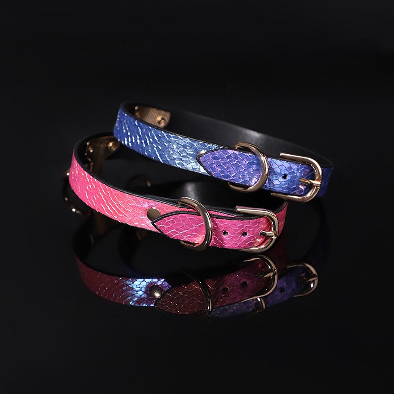 Gradient Snake Skin Leather Collar & Chain Leash - Unisex SM Erotic Toy for Training & Punishment