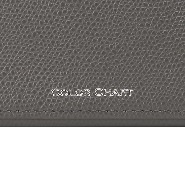 Collection Pen Case 10 Anchor (Holds Pens) (84 Gray)