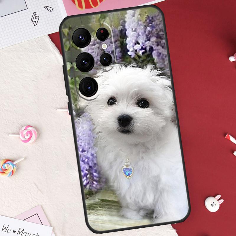 Cartoon Maltese Dog Case For Samsung Galaxy S22 Ultra S20 FE S21 FE S8 S9 S10 Plus Note 10 20 S23 Ultra Cover