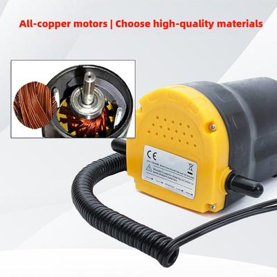 12V 24V High Power Electric Oil Pump Automotive Oil Extraction Pump Self Priming Engine Oil Gear Oil Pumping Machine