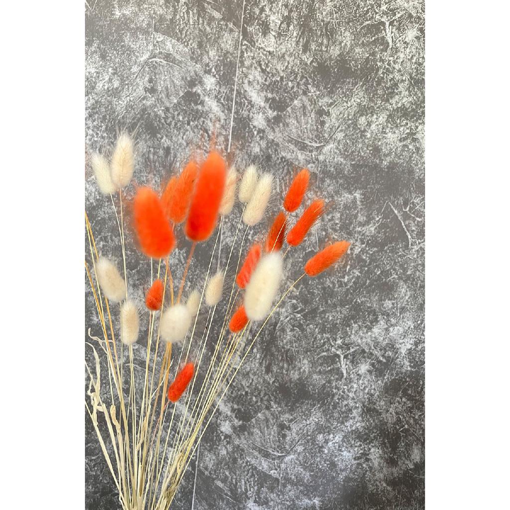 Orange natürliches getrocknetes Baumwollgras, Hasenschwanz Brautstrauß Arrangement Blume Lagurus 30 Zweige