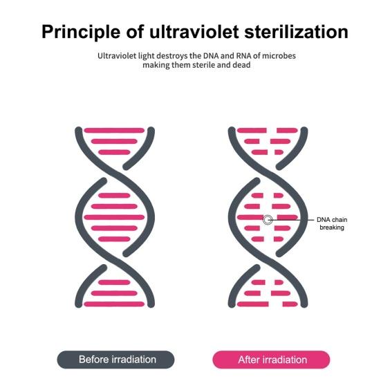 Portable LED UV Ultraviolet Sterilizer Disinfection Light USB Germicidal Lamp