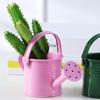 1Pc Mini Sprinkler Home Garden Indoor Vintage Flower Metal Watering Iron Pott