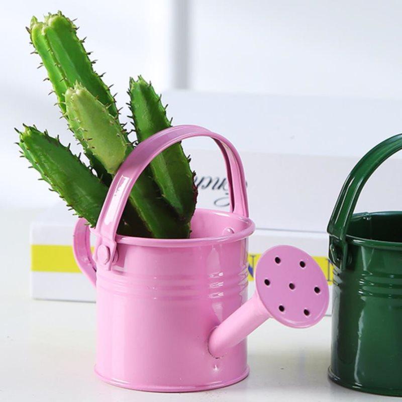1Pc Mini Sprinkler Home Garden Indoor Vintage Flower Metal Watering Iron Pott