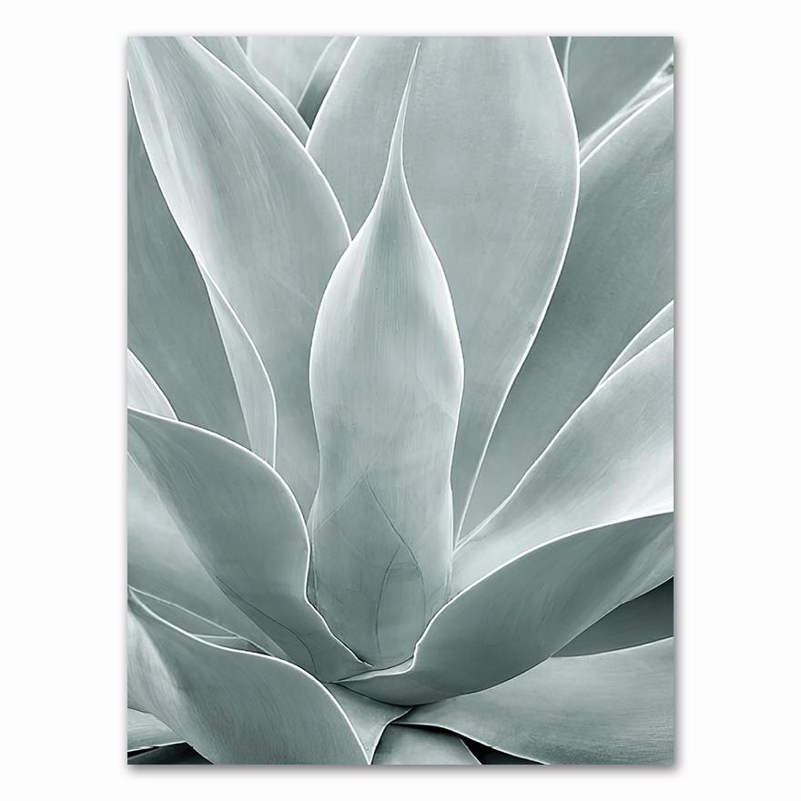 Palm Leaves Plant Art Canvas Painting Aloe Botanical S And Prints Modular Wall Pictures For Living Room Home Decoration