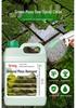 Eco-Pro Algae & Moss Remover for Cement Floors and Walls