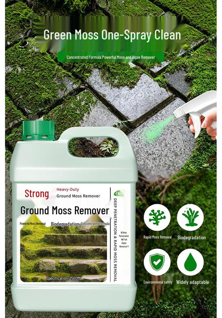 Eco-Pro Algae & Moss Remover for Cement Floors and Walls