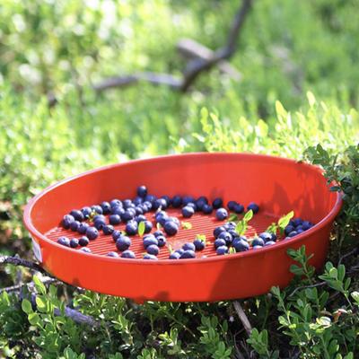 Blueberry Food Sieve Colander Cleaning Tray Drain Berry Vegetable Basket Washing Kitchen Fruit And Vegetable Cleaning Tool for Cake Shop