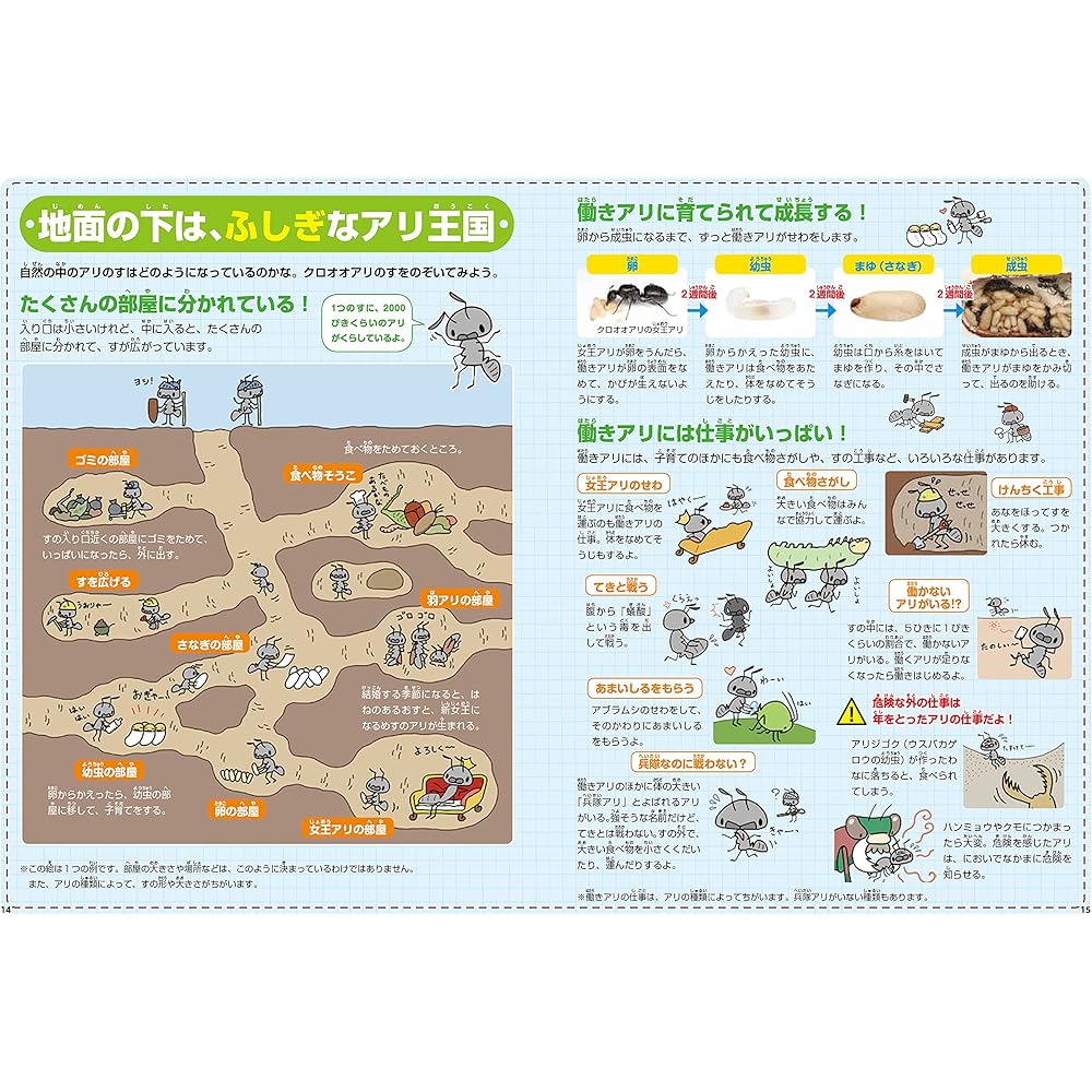 Gakken Science and Learning Ant House Playset for Ages 6 and Up Educational Toy