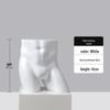 Underwear Display Mannequin: Half-Body Model for Bra and Panty Showcases