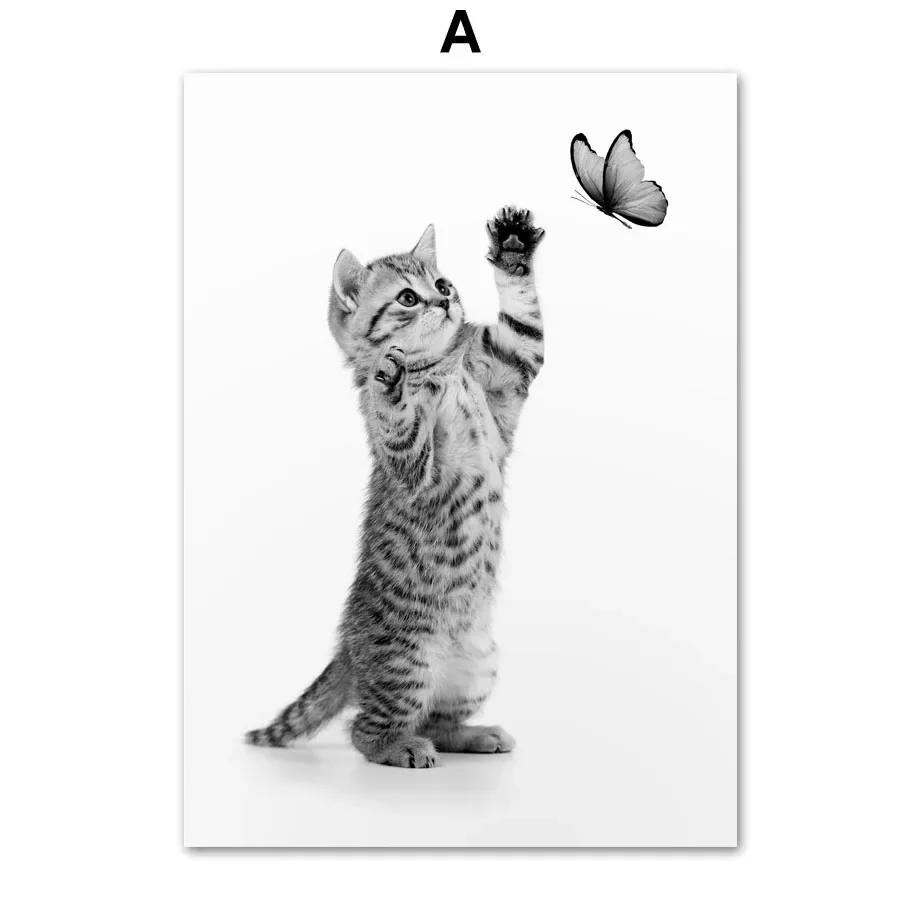 

Black and White Cat and Butterfly Funny Animal Canvas Painting, Pet Art, Nordic Posters and Prints, Wall Picture for Living Room 21x30cm No Framed