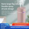 Creative Dual Nozzle Humidifier Desktop  Bedroom Car Aromatherapy Silent Oil Diffuser Usb 7 Color Ambient Light Smell Diffusers