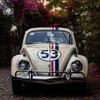 Simualtion 1/18 Scale Classic Beetle 1955 Car Model Collection Sound and Light Children Boy Toy Vehicle Gift Home Decor
