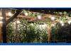 S14 High-Voltage Outdoor LED String Lights - Waterproof IP65 Wedding, Bar, & Camping Decoration